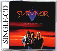 Survivor - Didn't Know It Was Love